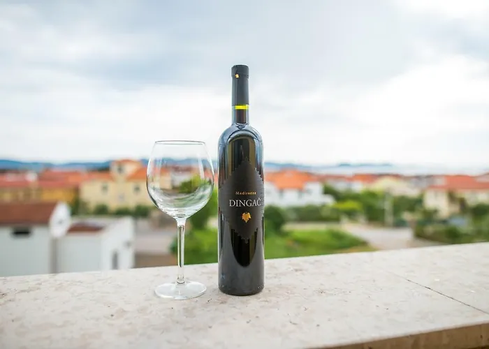 Open View Ζαντάρ