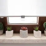 公寓 Open View 扎达尔